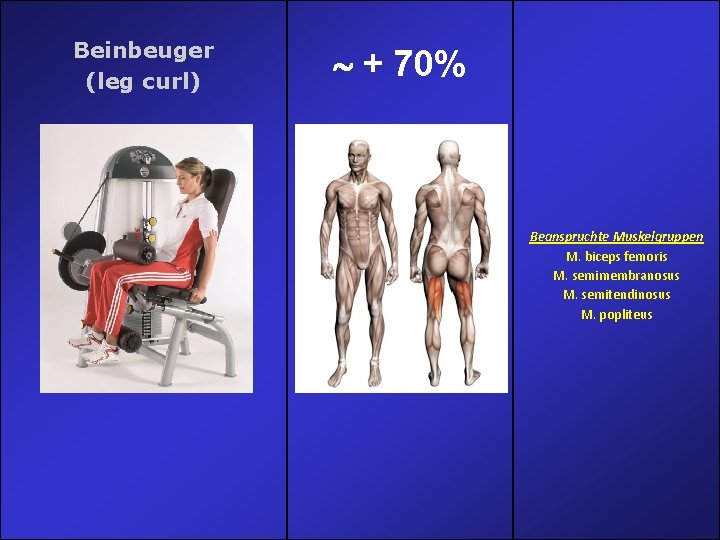 Beinbeuger (leg curl) + 70% Beanspruchte Muskelgruppen M. biceps femoris M. semimembranosus M. semitendinosus Beinbeuger (leg curl) + 70% Beanspruchte Muskelgruppen M. biceps femoris M. semimembranosus M. semitendinosus