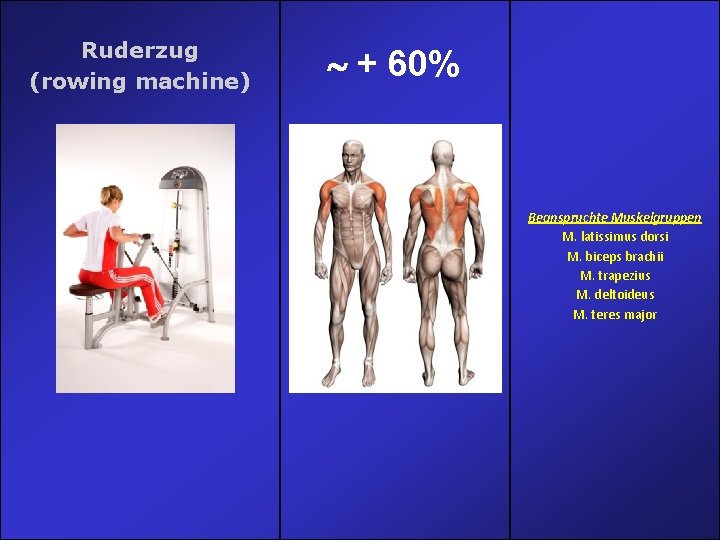 Ruderzug (rowing machine) + 60% gruppen M. latissimus dorsi M. biceps brachii M. trapezius Ruderzug (rowing machine) + 60% gruppen M. latissimus dorsi M. biceps brachii M. trapezius