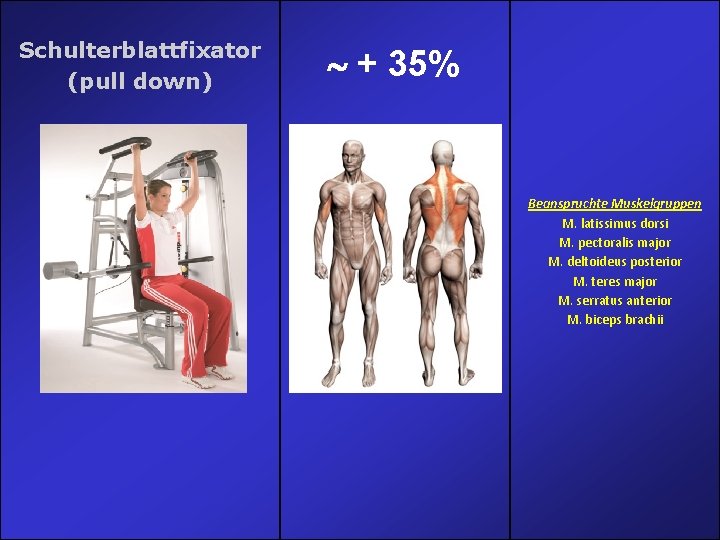 Schulterblattfixator (pull down) + 35% Beanspruchte Muskelgruppen M. latissimus dorsi M. pectoralis major M. Schulterblattfixator (pull down) + 35% Beanspruchte Muskelgruppen M. latissimus dorsi M. pectoralis major M.