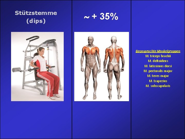 Stützstemme (dips) + 35% Beanspruchte Muskelgruppen M. triceps brachii M. deltoideus M. latissimus dorsi Stützstemme (dips) + 35% Beanspruchte Muskelgruppen M. triceps brachii M. deltoideus M. latissimus dorsi