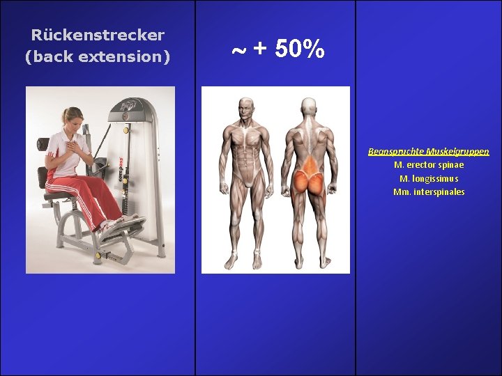 Rückenstrecker (back extension) + 50% Beanspruchte Muskelgruppen M. erector spinae M. longissimus Mm. interspinales Rückenstrecker (back extension) + 50% Beanspruchte Muskelgruppen M. erector spinae M. longissimus Mm. interspinales