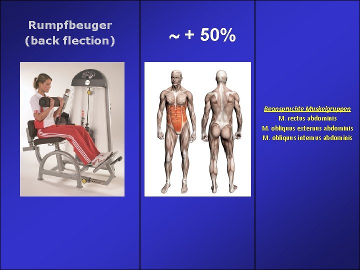 Rumpfbeuger (back flection) + 50% Beanspruchte Muskelgruppen M. rectus abdominis M. obliquus externus abdominis Rumpfbeuger (back flection) + 50% Beanspruchte Muskelgruppen M. rectus abdominis M. obliquus externus abdominis