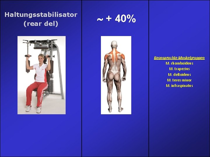 Haltungsstabilisator (rear del) + 40% Beanspruchte Muskelgruppen M. rhomboideus M. trapezius M. deltoideus M. Haltungsstabilisator (rear del) + 40% Beanspruchte Muskelgruppen M. rhomboideus M. trapezius M. deltoideus M.