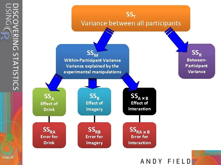 SST Variance between all participants SSR SSM Between. Participant Variance Within-Participant Variance explained by