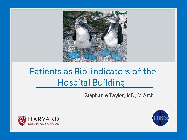 Patients as Bio-indicators of the Hospital Building Stephanie Taylor, MD, M Arch 