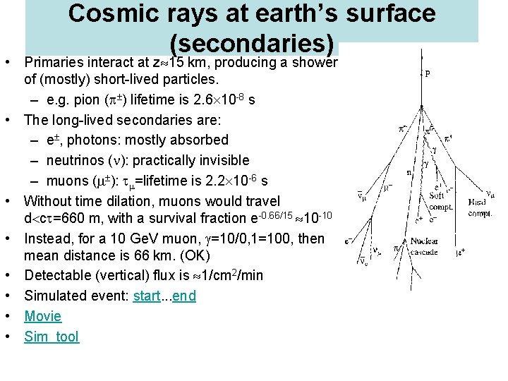 Cosmic rays at earth’s surface (secondaries) • Primaries interact at z 15 km, producing