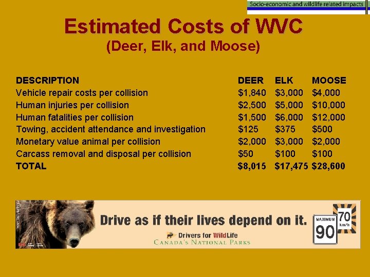 Estimated Costs of WVC (Deer, Elk, and Moose) DESCRIPTION Vehicle repair costs per collision