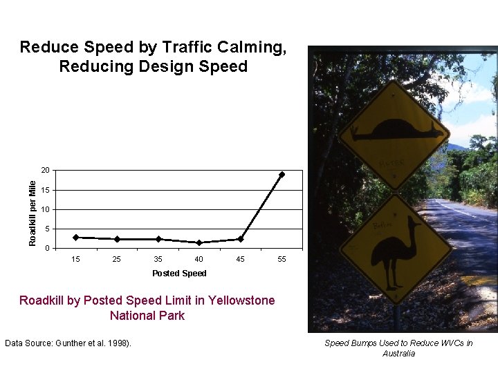 Reduce Speed by Traffic Calming, Reducing Design Speed Roadkill per Mile 20 15 10