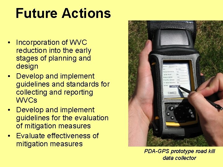 Future Actions • Incorporation of WVC reduction into the early stages of planning and