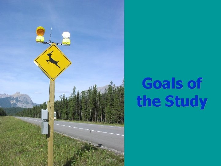 Goals of the Study 