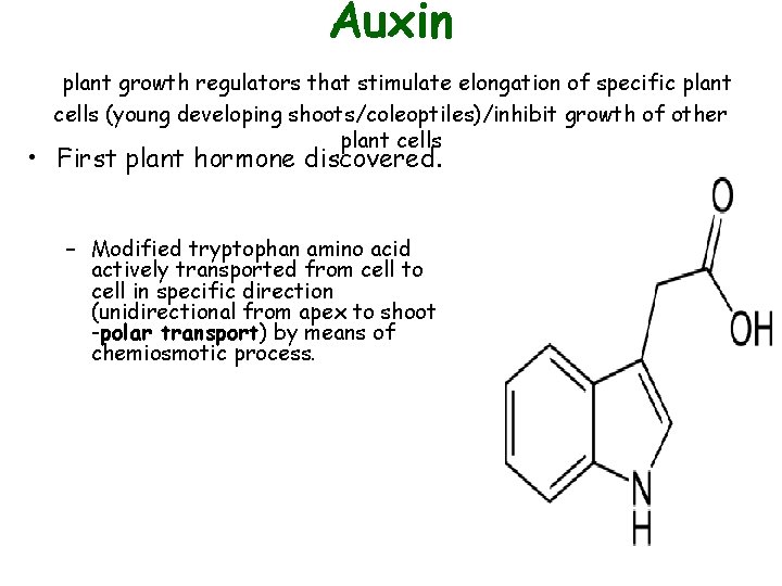 Auxin plant growth regulators that stimulate elongation of specific plant cells (young developing shoots/coleoptiles)/inhibit