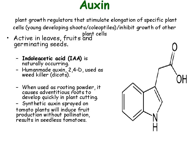 Auxin plant growth regulators that stimulate elongation of specific plant cells (young developing shoots/coleoptiles)/inhibit