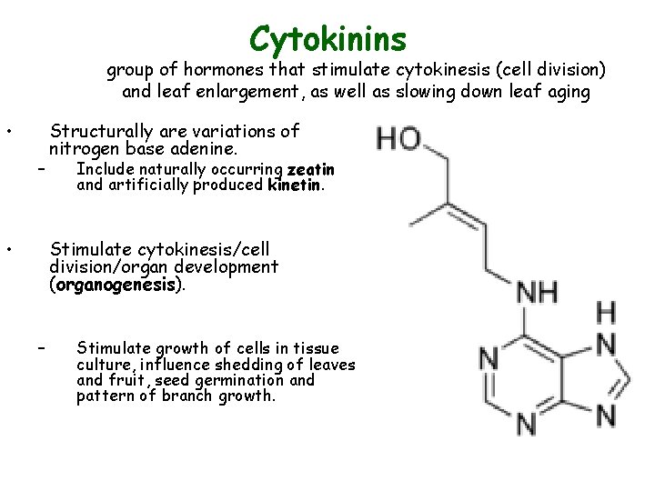 Cytokinins group of hormones that stimulate cytokinesis (cell division) and leaf enlargement, as well