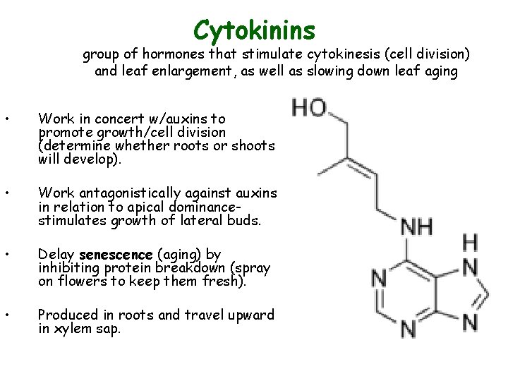 Cytokinins group of hormones that stimulate cytokinesis (cell division) and leaf enlargement, as well