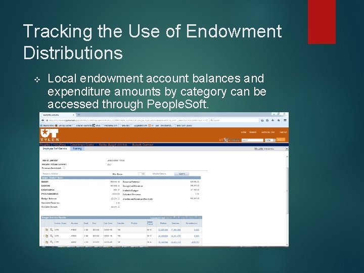 Tracking the Use of Endowment Distributions v Local endowment account balances and expenditure amounts