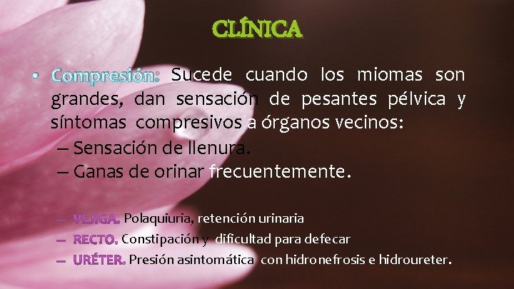 CLÍNICA • Compresión: Sucede cuando los miomas son grandes, dan sensación de pesantes pélvica