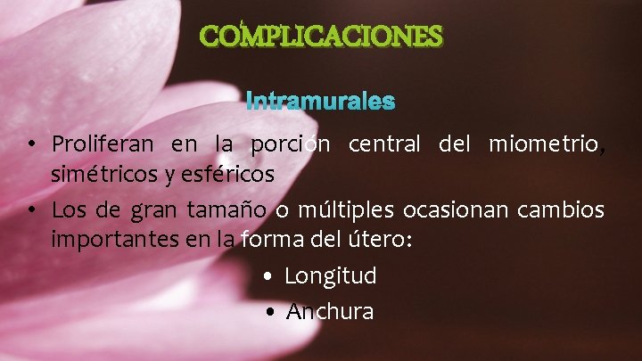 COMPLICACIONES Intramurales • Proliferan en la porción central del miometrio, simétricos y esféricos •