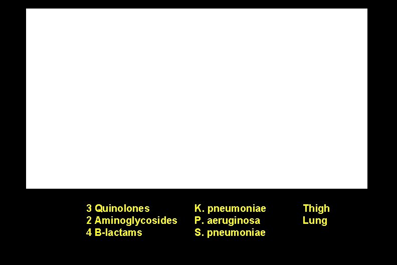 3 Quinolones 2 Aminoglycosides 4 B-lactams K. pneumoniae P. aeruginosa S. pneumoniae Thigh Lung