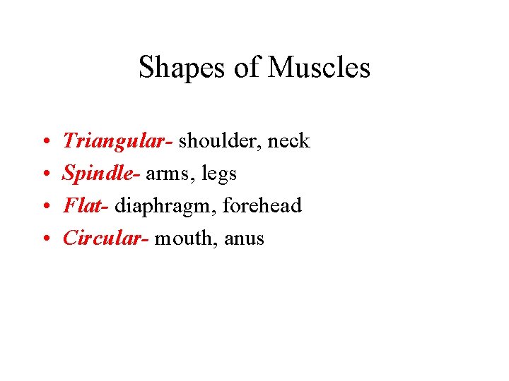 Shapes of Muscles • • Triangular- shoulder, neck Spindle- arms, legs Flat- diaphragm, forehead