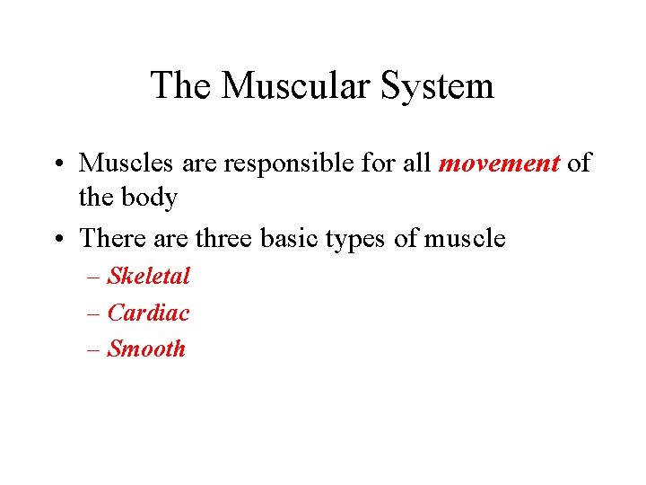 The Muscular System • Muscles are responsible for all movement of the body •