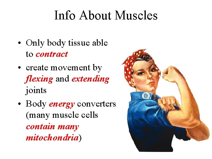 Info About Muscles • Only body tissue able to contract • create movement by