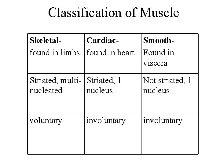 Classification of Muscle Skeletal. Cardiacfound in limbs found in heart Smooth. Found in viscera