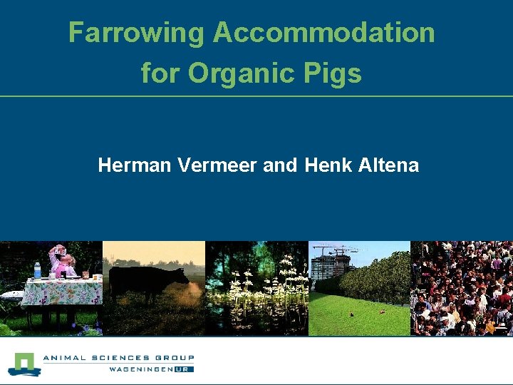 Farrowing Accommodation for Organic Pigs Herman Vermeer and Henk Altena 