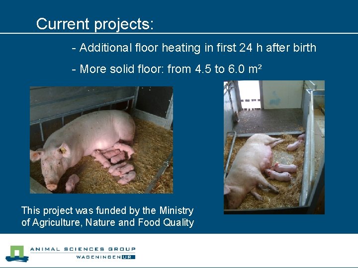 Current projects: - Additional floor heating in first 24 h after birth - More