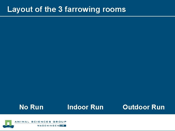 Layout of the 3 farrowing rooms No Run Indoor Run Outdoor Run 