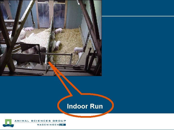 Indoor Run 