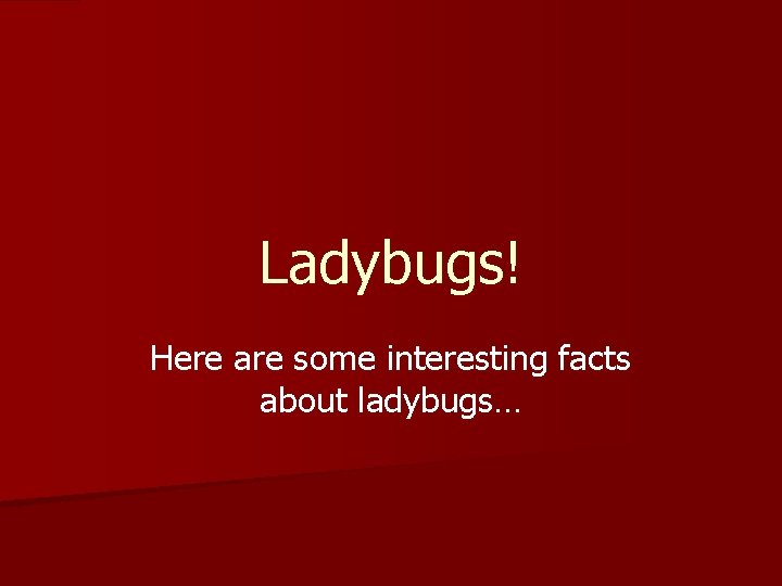 Ladybugs! Here are some interesting facts about ladybugs… 