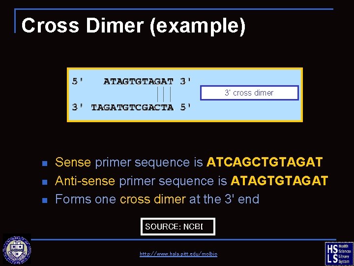 Cross Dimer (example) 3’ cross dimer n n n Sense primer sequence is ATCAGCTGTAGAT