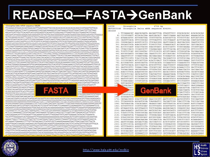 READSEQ—FASTA Gen. Bank http: //www. hsls. pitt. edu/molbio 