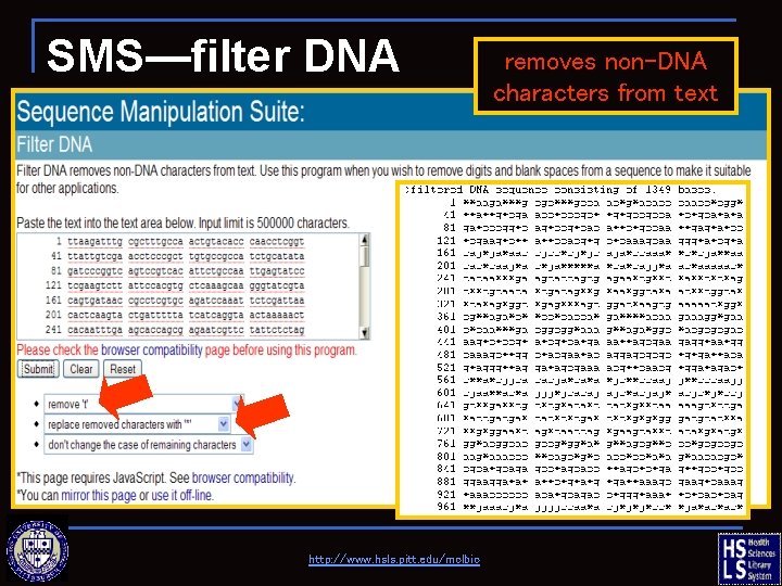 SMS—filter DNA http: //www. hsls. pitt. edu/molbio removes non-DNA characters from text 