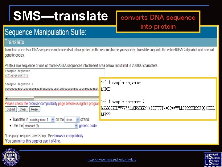 SMS—translate converts DNA sequence into protein http: //www. hsls. pitt. edu/molbio 