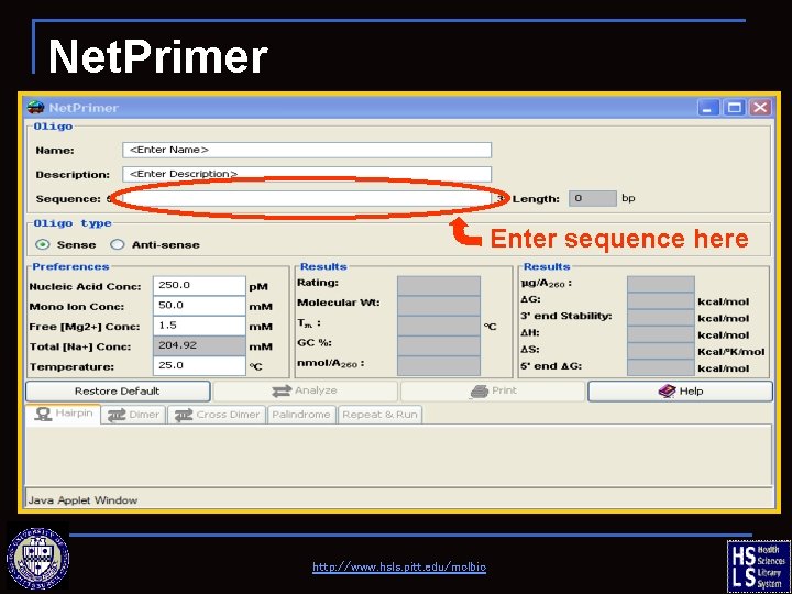 Net. Primer Enter sequence here http: //www. hsls. pitt. edu/molbio 