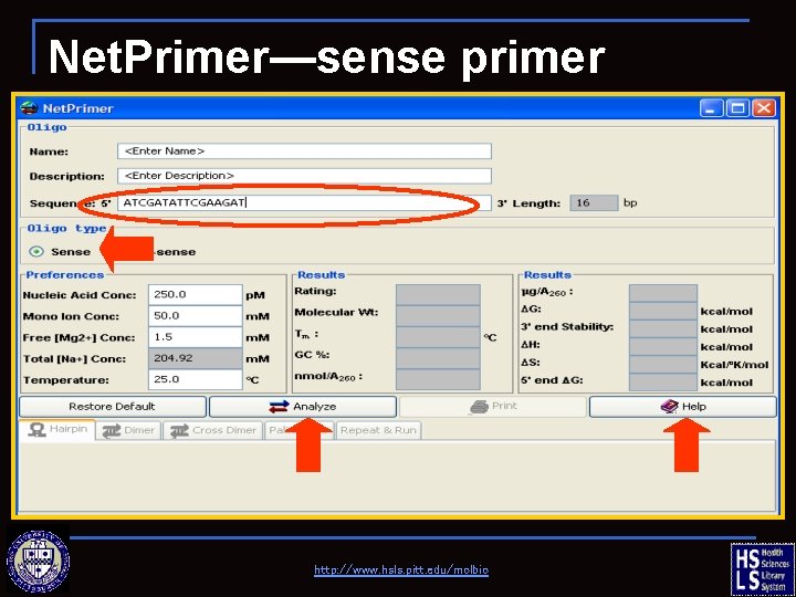 Net. Primer—sense primer http: //www. hsls. pitt. edu/molbio 