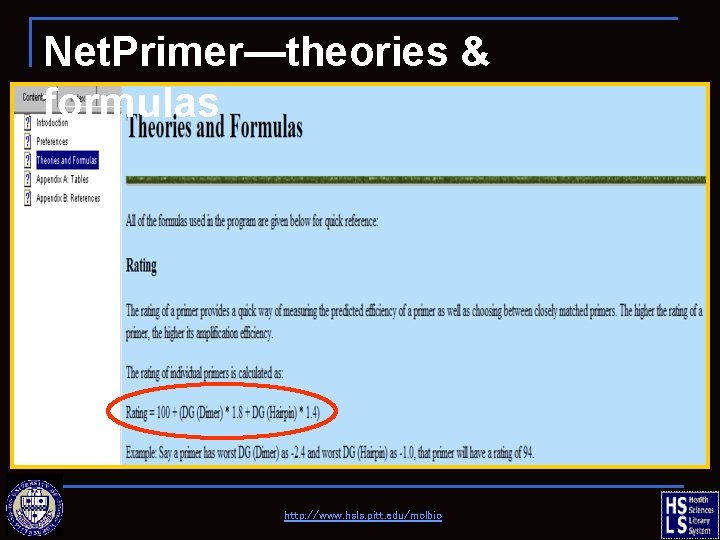 Net. Primer—theories & formulas http: //www. hsls. pitt. edu/molbio 