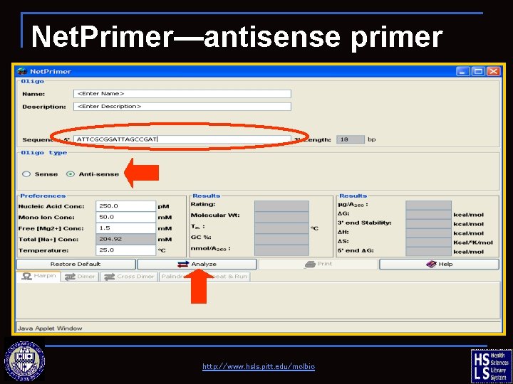 Net. Primer—antisense primer http: //www. hsls. pitt. edu/molbio 