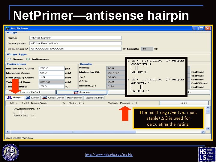 Net. Primer—antisense hairpin The most negative (i. e. , most stable) DG is used