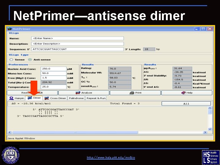 Net. Primer—antisense dimer http: //www. hsls. pitt. edu/molbio 