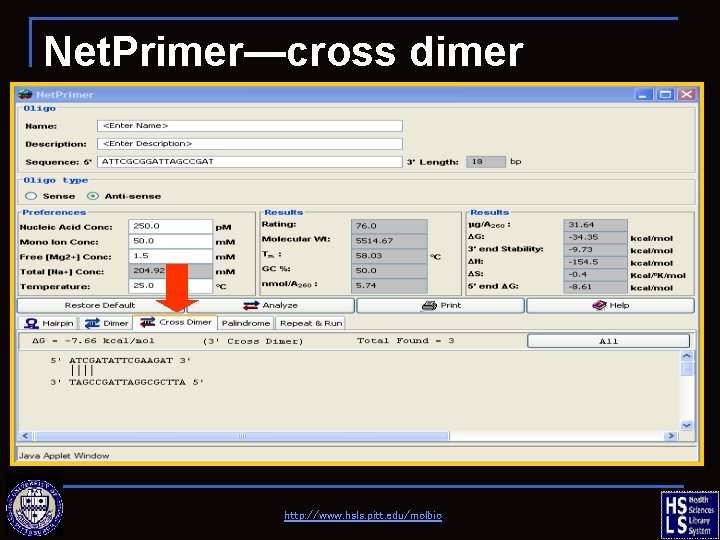 Net. Primer—cross dimer http: //www. hsls. pitt. edu/molbio 