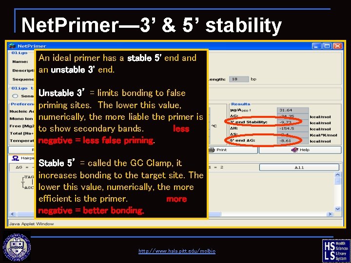 Net. Primer— 3’ & 5’ stability An ideal primer has a stable 5' end