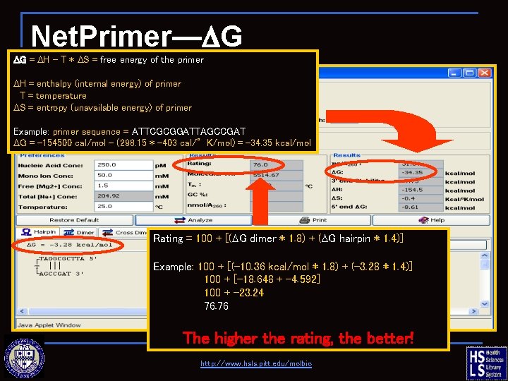 Net. Primer—DG DG = DH – T * DS = free energy of the