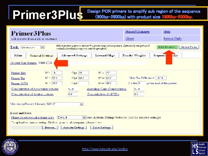 Primer 3 Plus Design PCR primers to amplify sub region of the sequence (600