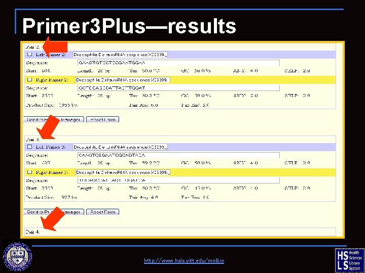 Primer 3 Plus—results http: //www. hsls. pitt. edu/molbio 