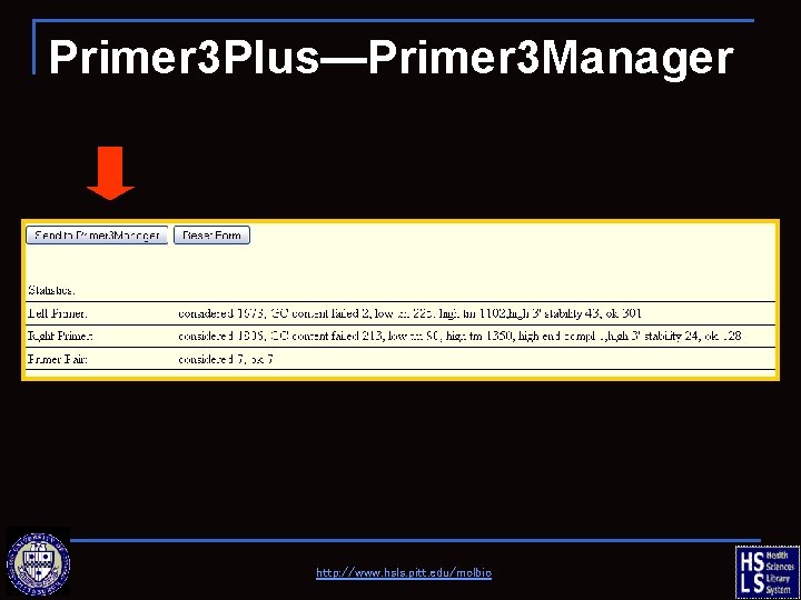 Primer 3 Plus—Primer 3 Manager http: //www. hsls. pitt. edu/molbio 