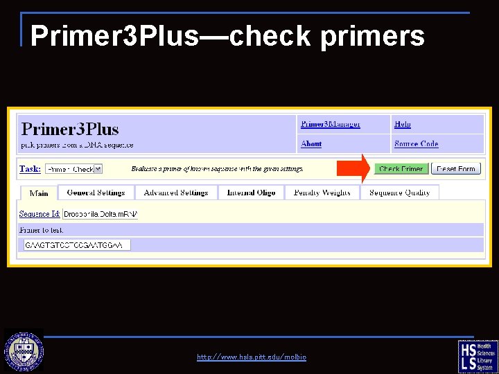 Primer 3 Plus—check primers http: //www. hsls. pitt. edu/molbio 