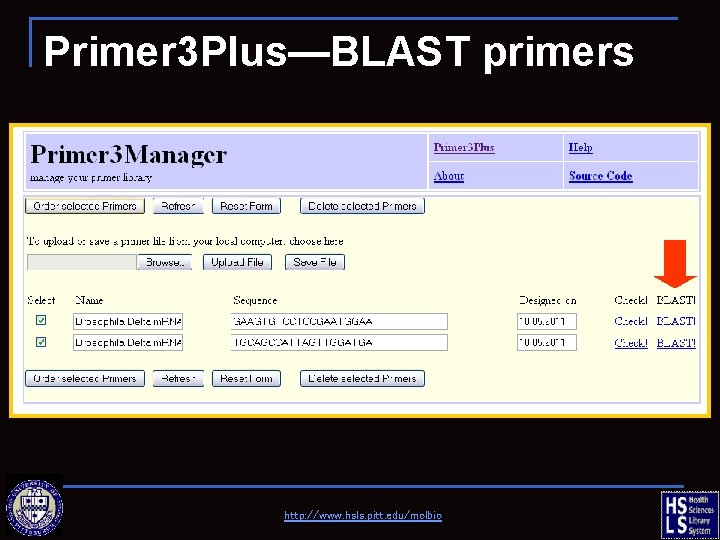 Primer 3 Plus—BLAST primers http: //www. hsls. pitt. edu/molbio 