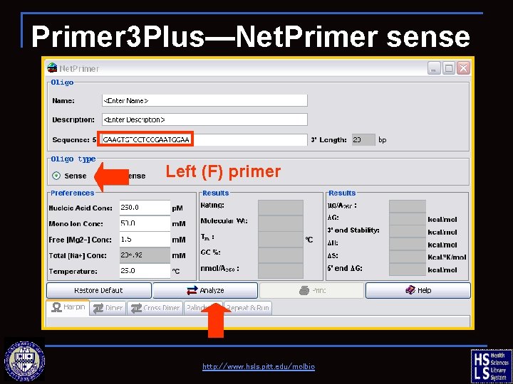 Primer 3 Plus—Net. Primer sense Left (F) primer http: //www. hsls. pitt. edu/molbio 